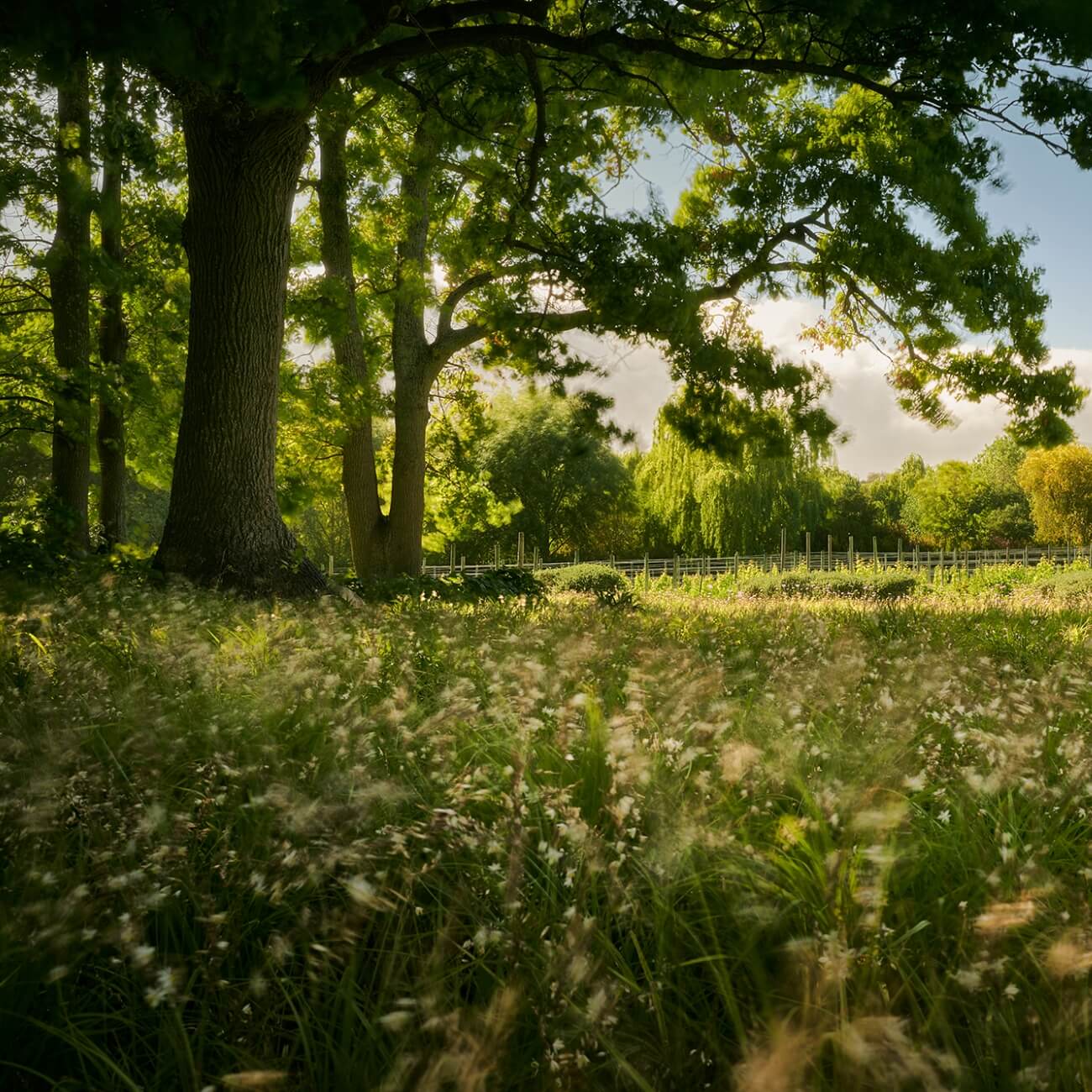 67bc557d757a1-Leeu Estates - Landscape (1)@2x